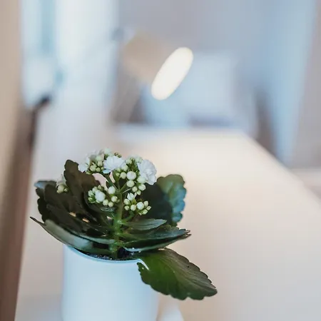 Appartamento Wohlfuehloase In Kirchditmold - Ruhig Wohnen Mit Netflix, Top-anbindung Und Zwei Schlafzimmern - Perfekt Fuer Familien, Paare Und Entspannte Staedtetrips Kassel