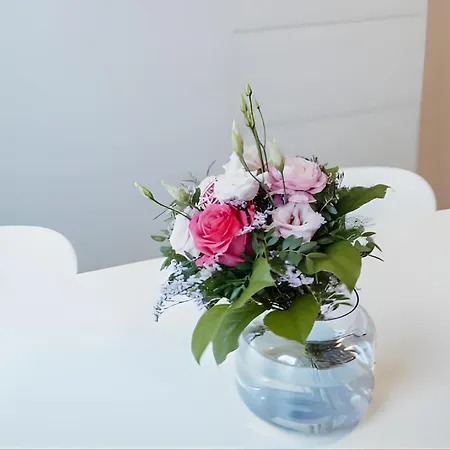 Wohlfuehloase In Kirchditmold - Inkl Parkplatz, Snacks & Getraenke - Fusslaeufig Zu Kongress Palais Lejlighed