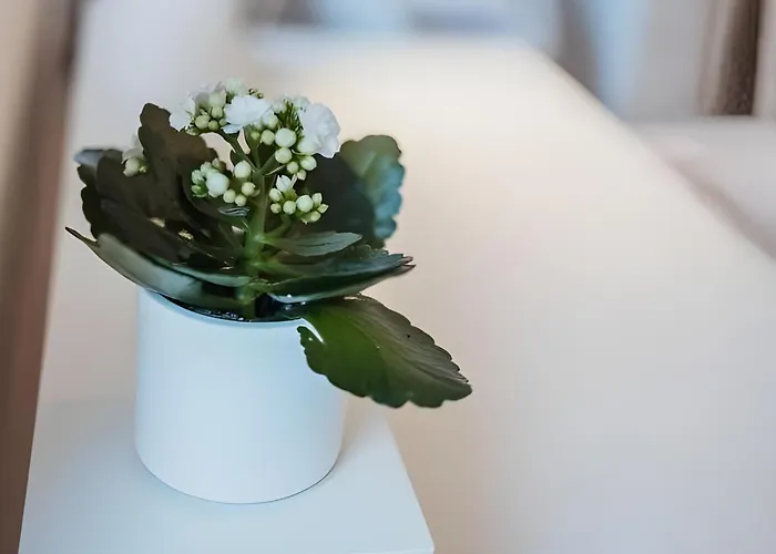 Wohlfuehloase In Kirchditmold - Inkl Parkplatz, Snacks & Getraenke - Fusslaeufig Zu Kongress Palais アパート *